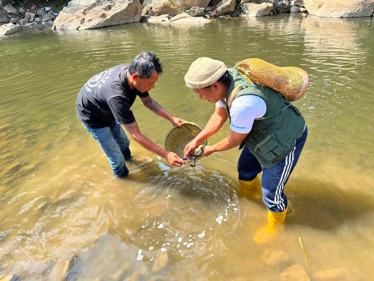 Yayasan Marampa Tallulolona Lepas 200 Ekor Ikan Sidat di Sungai Sa'dan